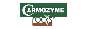 Carmozyme Roots